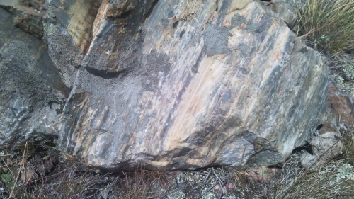 Гигантские зелёные валуны для ландшафтного дизайна весом более 5 тонн купить в Калуге