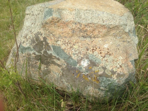 Гигантские зелёные валуны для ландшафтного дизайна весом более 5 тонн купить в Калуге