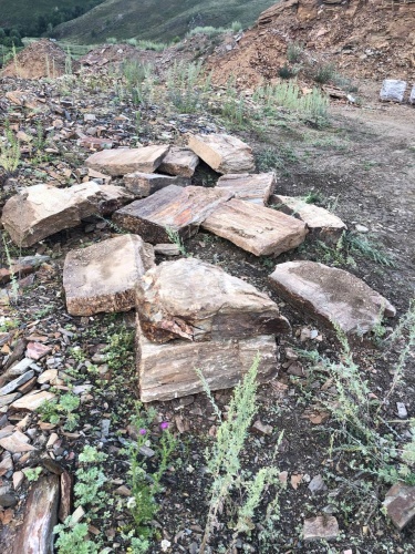 Пошаговая дорожка из плит златолит кора дерева купить в Калуге